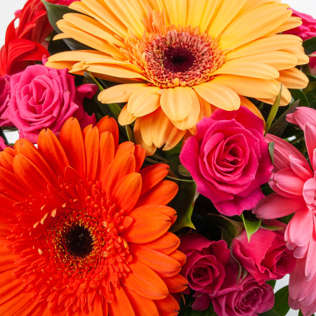 Композиция в кашпо Радужный мост