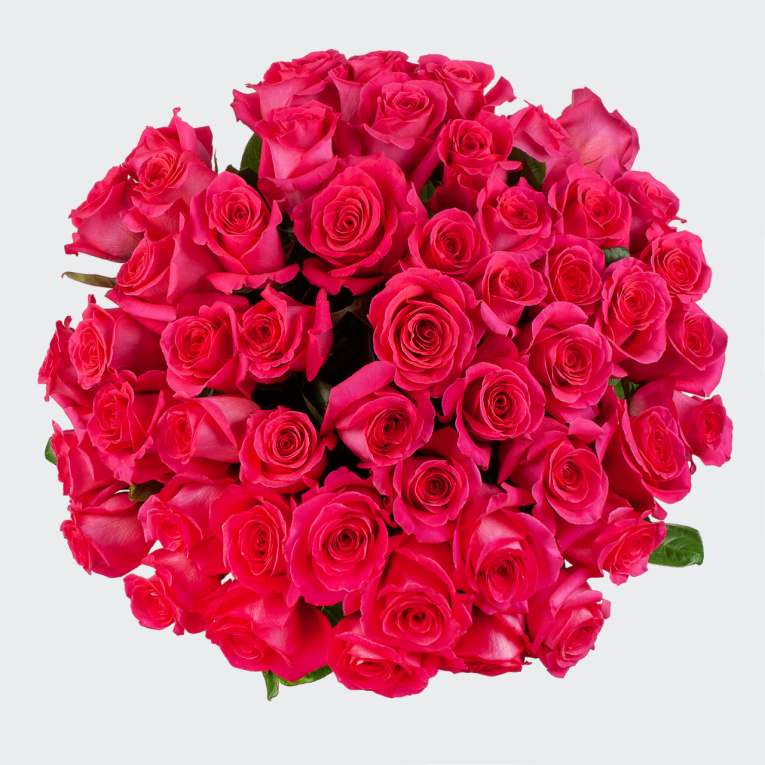 Букет 51 роза Пинк Флойд (Эквадор), 60 см