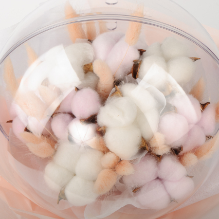 Композиция Песня Орфея