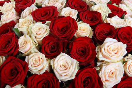 Букет 201 роза микс