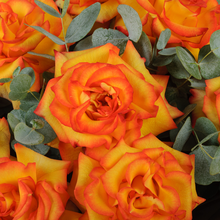 Букет из 15 роз Искры страсти (в крафте)