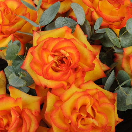 Букет из 15 роз Искры страсти (в крафте)