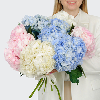 Букет 7 гортензий Цветочные облака