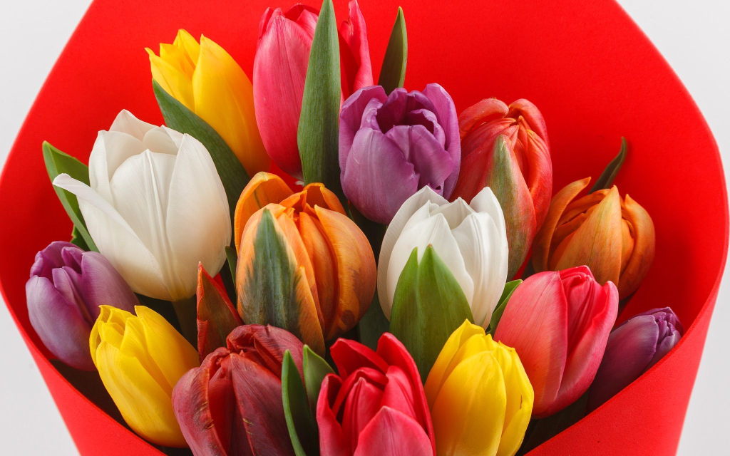 Букет из тюльпанов Пора любви (мини)