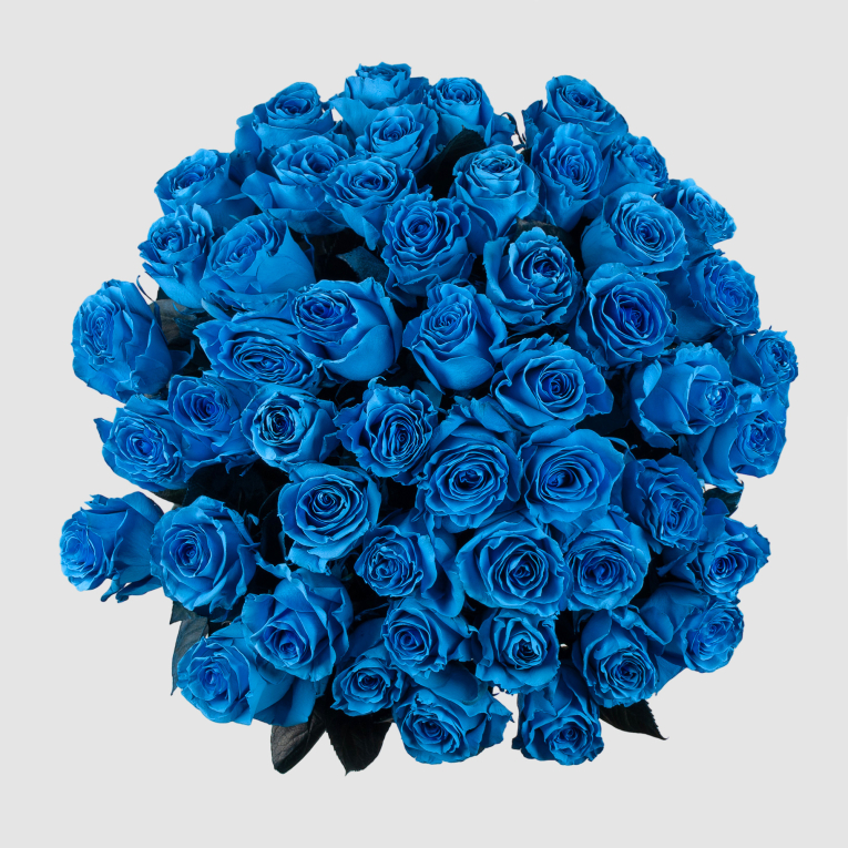 Букет 51 роза Поцелуй Мальвины