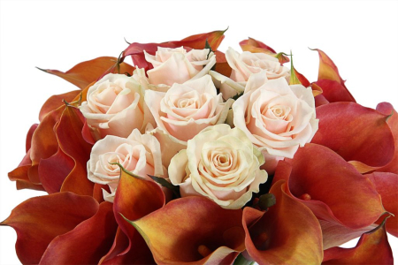 Букет с каллами Гордость аристократа