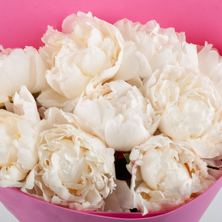 Букет из 9 пионов Песня ангела