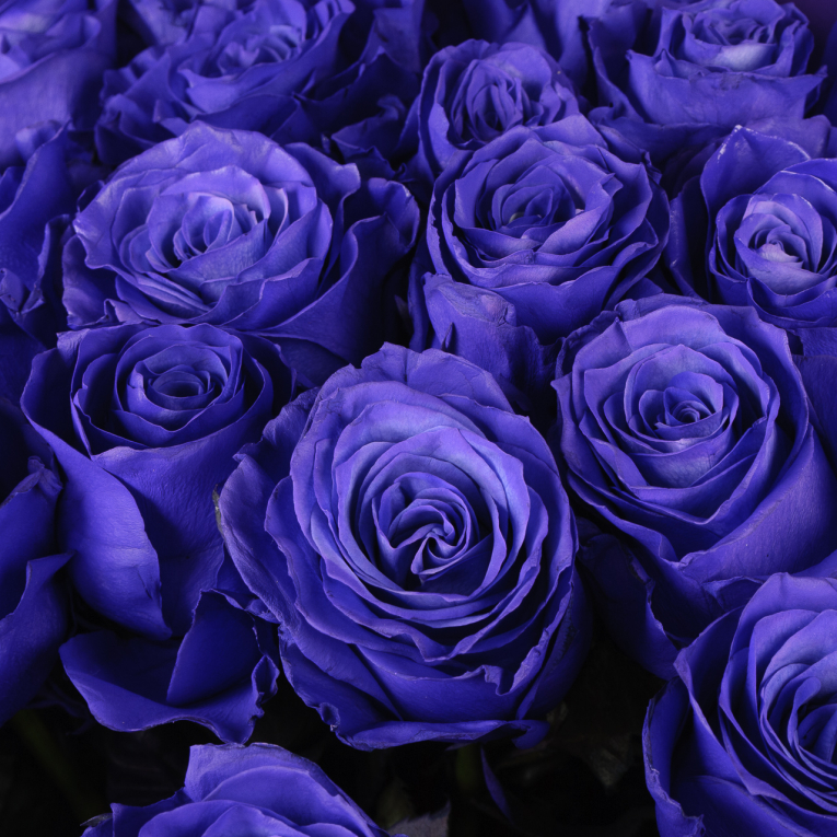 Букет из синих роз Сонное царство