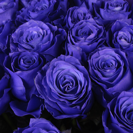 Букет из синих роз Сонное царство