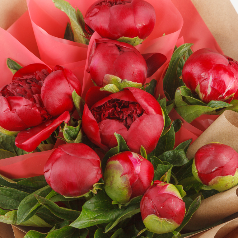 Букет из 9 пионов Дивный час