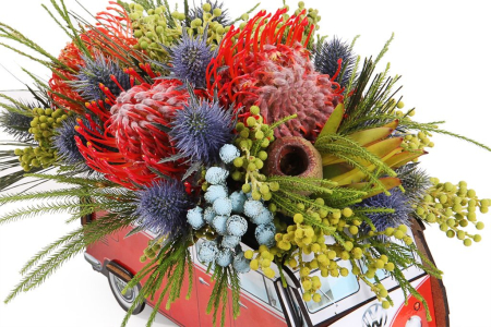 Композиция Сафари в кашпо