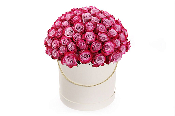 Букет 101 роза Дип Перпл в шляпной коробке