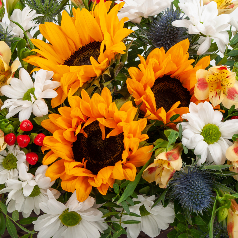 Букет в кашпо Волшебный фонарь