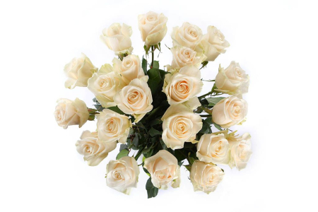 Букет 21 роза Венделла