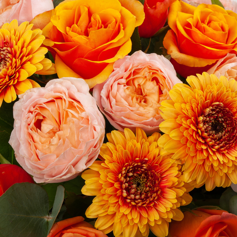 Букет в кашпо Солнце Монако