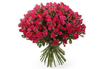 Букет 51 кустовая роза Алисия