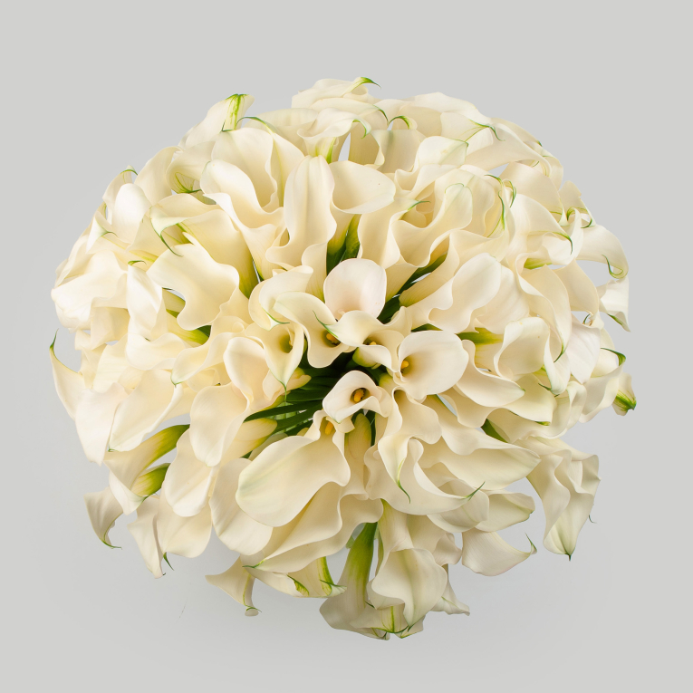 Букет из 101 каллы Белый ангел