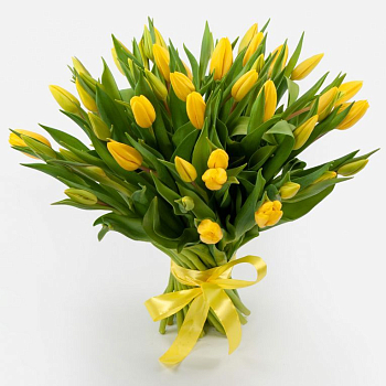Букет 51 тюльпан Золотое солнышко