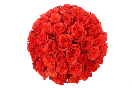 Букет 51 роза Хай Мэджик в шляпной коробке