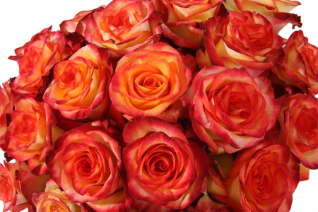 Композиция Пламенное сердце в коробке (малое)