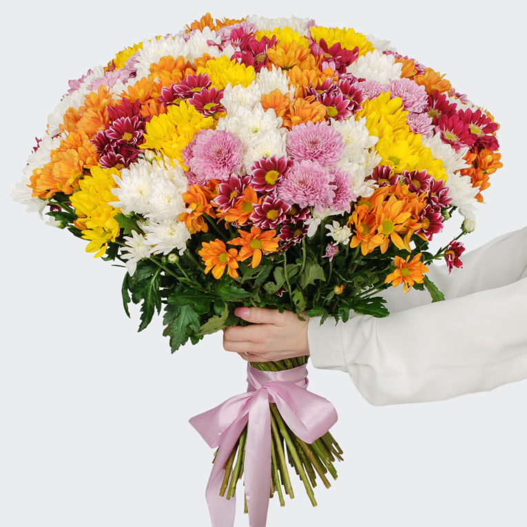 Букет 75 кустовых хризантем микс