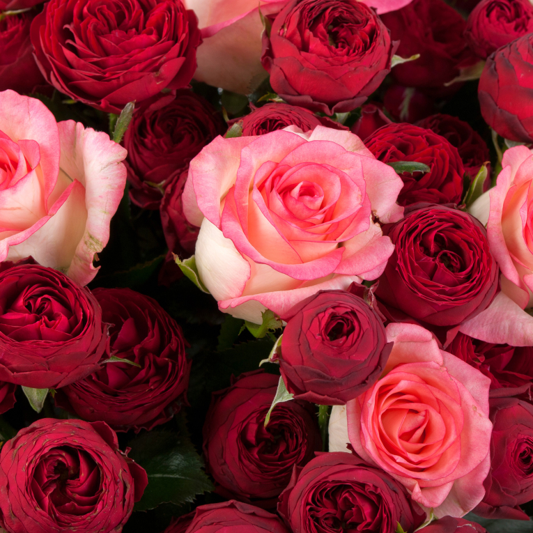 Букет из 51 розы Сладкий соблазн