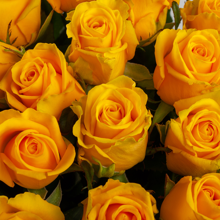 Букет из 35 роз Золото любви