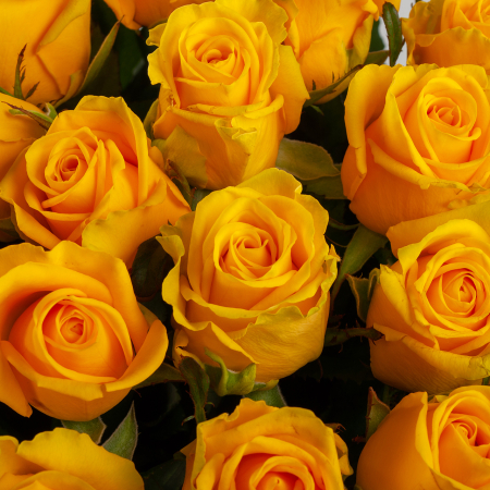 Букет из 35 роз Золото любви