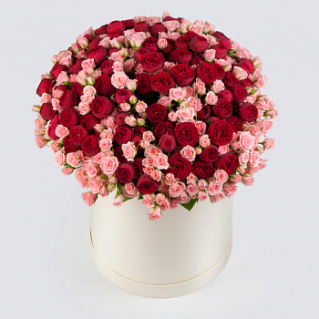 Букет в коробке Поцелуй рыцаря (101 роза)