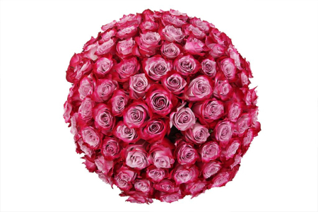 Букет 101 роза Дип Перпл в шляпной коробке