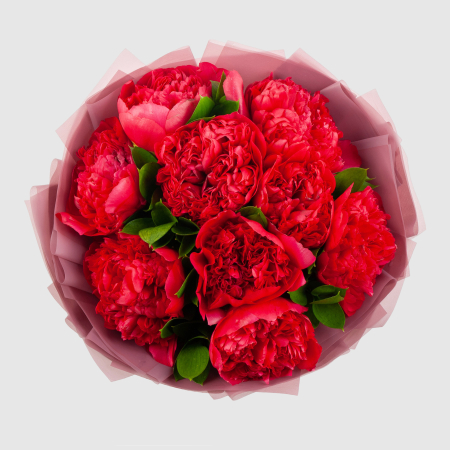 Букет из 9 пионов Алый бархат