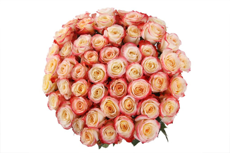 Букет 51 роза Кабаре