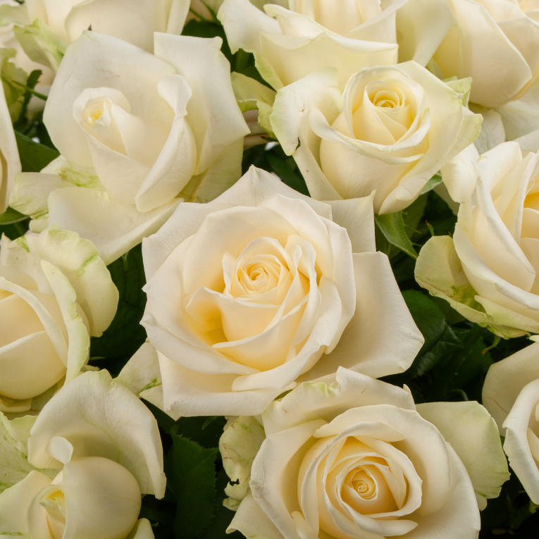 Букет в корзине Мелодия любви (51 роза)