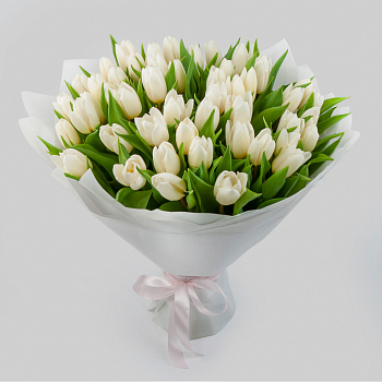 Букет 51 тюльпан Белое облако