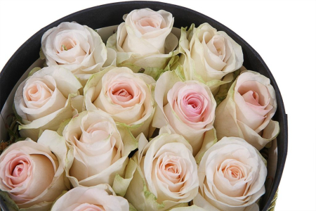 Букет 13 роз Сеньорита в шляпной коробке