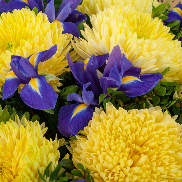 Букет К звездам