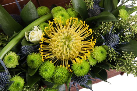 Букет Сокровище морских глубин в кашпо