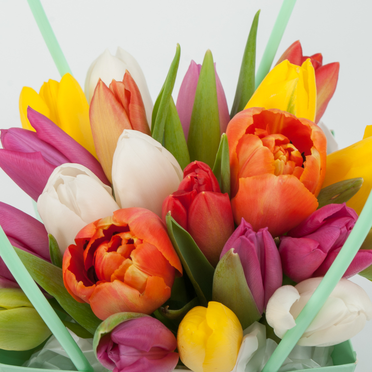 Тюльпаны в коробке Мятное настроение