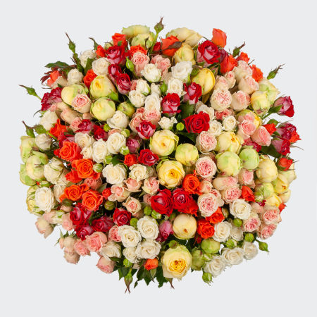Букет из 51 розы Вспышка счастья