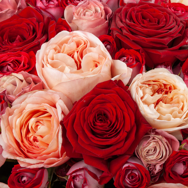 Букет 55 роз Бескрайняя любовь