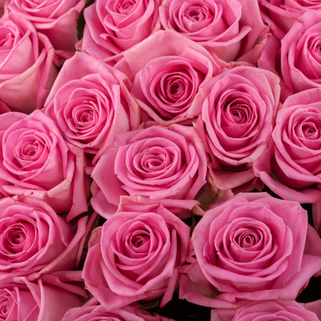 Букет 101 роза Аква