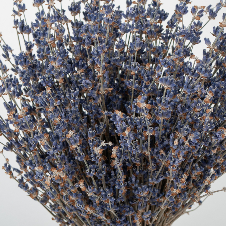 Букет из лаванды Аромат Прованса