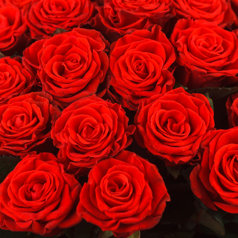 Букет из 35 роз Одной тебе