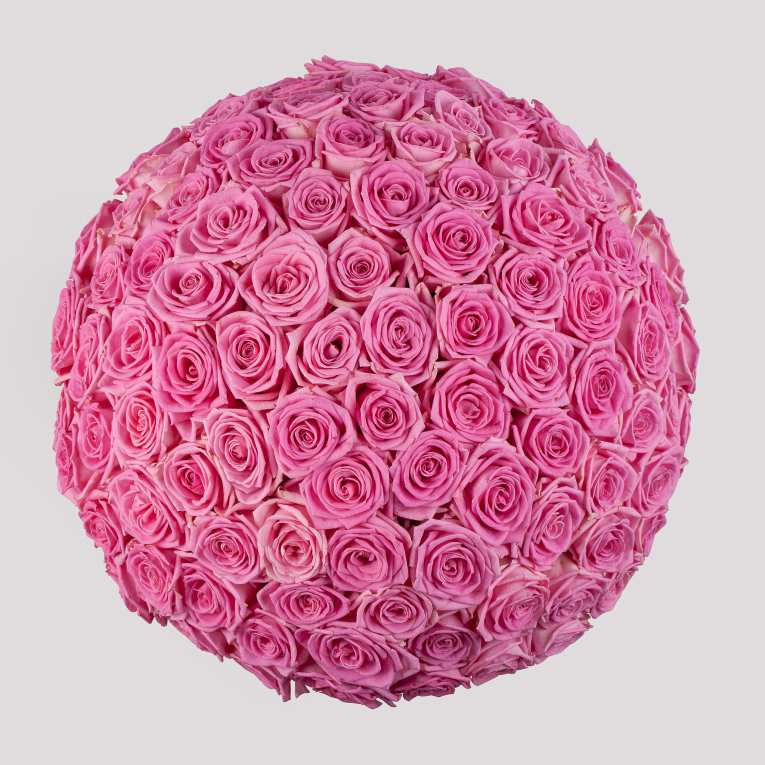 Букет в белой коробке Жар сердца (101 роза)