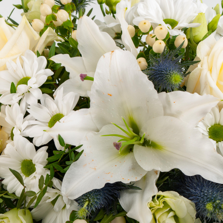 Букет в кашпо Весь белый свет