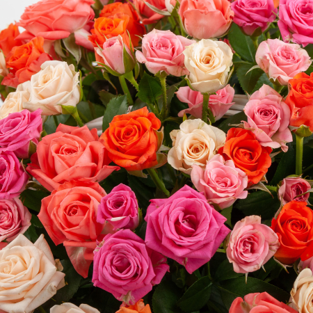 Букет из 101 розы в корзине Первый поцелуй