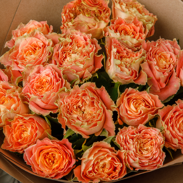 Букет из 19 роз Персиковый джаз