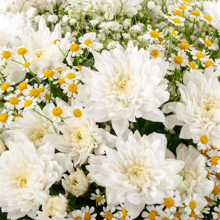 Букет из ромашек Полянка чудес