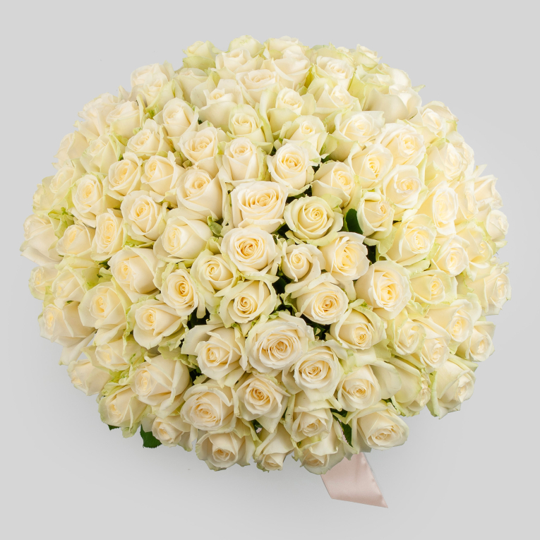 Букет 101 роза Аваланш (40 см)