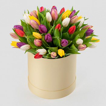 Букет 51 тюльпан в бежевой коробке Нежные объятия